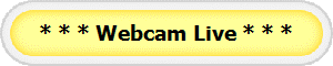 * * * Webcam Live * * *